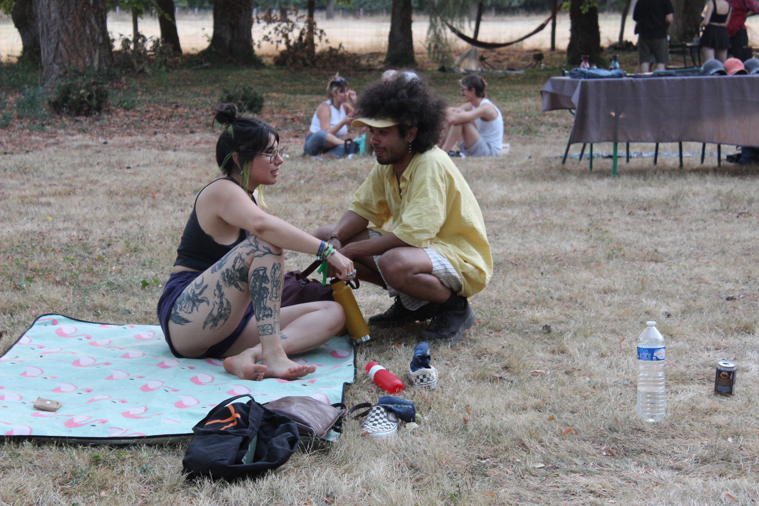 2025 Edition Photo 8